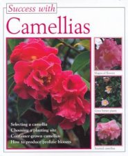 Success With Camellias