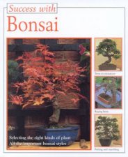 Success With Bonsai
