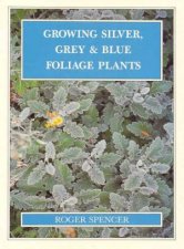 Growing Silver Grey And Blue Foliage Plants