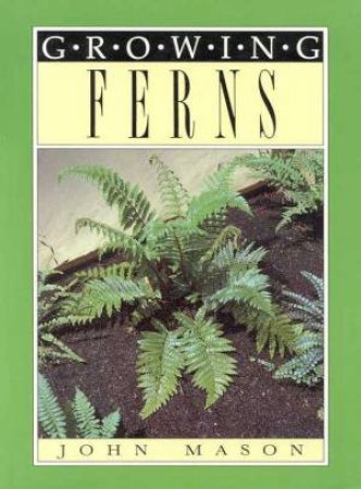Growing Ferns by John Mason