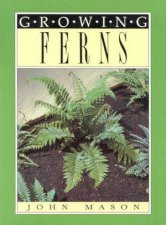 Growing Ferns