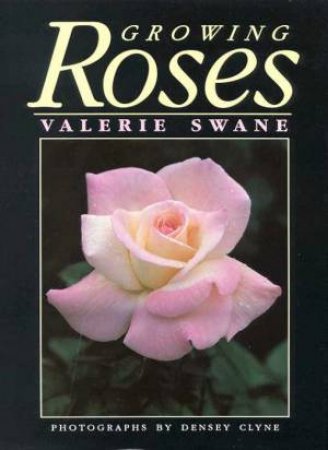 Growing Roses by Valerie Swane