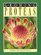 Growing Proteas