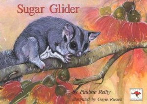 Sugar Glider by Pauline Reilly & Gayle Russell