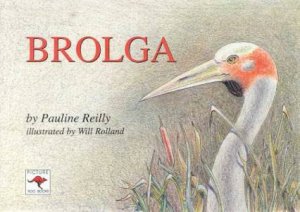 Brolga by Pauline Reilly