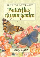 How To Attract Butterflies Your Garden