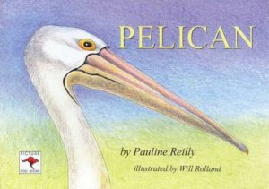 Pelican by Pauline Reilly & Will Rolland