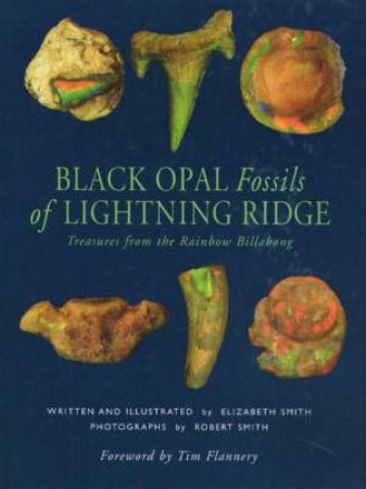 Black Opal Fossils by Elizabeth Smith