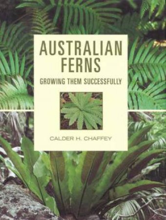 Australian Ferns by Calder H Chaffey