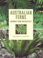 Australian Ferns