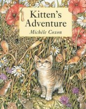 Kittens Adventure