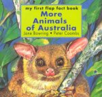 More Animals Of Australia