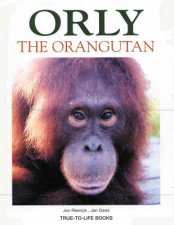 TrueToLife Orly The Orangutan