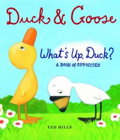 Duck and Goose: Whats Up Duck? A Book of Opposites by Tad Hills