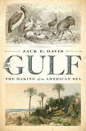 The Gulf: The Making Of An American Sea by Jack E. Davis