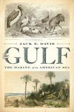 The Gulf The Making Of An American Sea