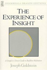 The Experience of Insight