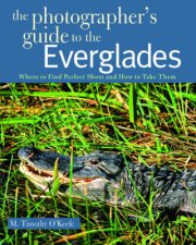 Photographers Guide to the Everglades Where to Find Perfect Shots and How to Take Them
