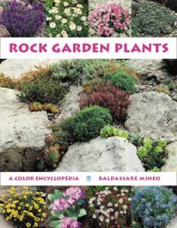 Rock Garden Plants by BALDASSARE MINEO