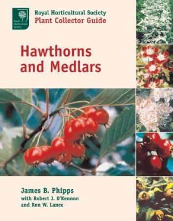 Hawthorns and Medlars by JAMES B. PHIPPS