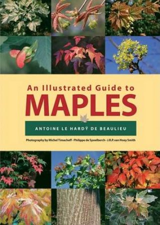 Illustrated Guide to Maples by SMITH