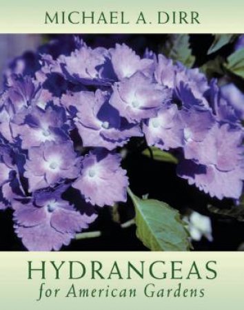 Hydrangeas for American Gardens by MICHAEL A. DIRR