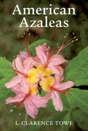 American Azaleas by L. CLARENCE TOWE