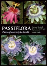 Passiflora