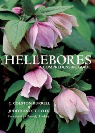 Hellebores by BURRELL / KNOTT TYLER