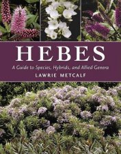 Hebes