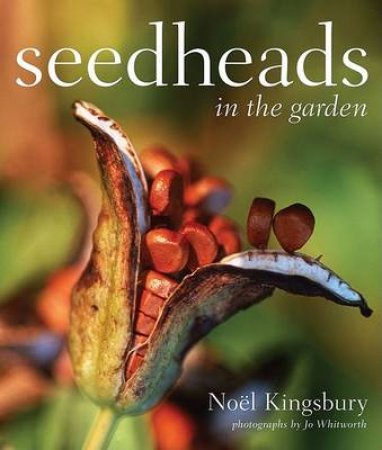 Seedheads in the Garden by KINGSBURY