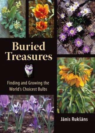 Buried Treasures by JANIS RUKSANS