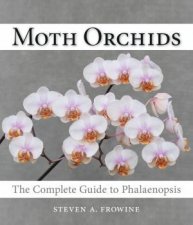 Moth Orchids