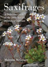 Saxifrages The Definitive Guide to 2000 Species Hybrids and Cultivars