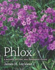 Phlox