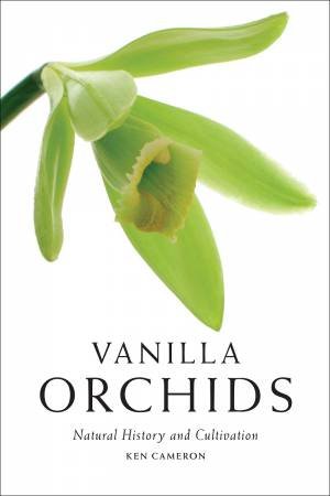 Vanilla Orchids by KEN CAMERON