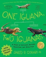 One Iguana Two Iguanas
