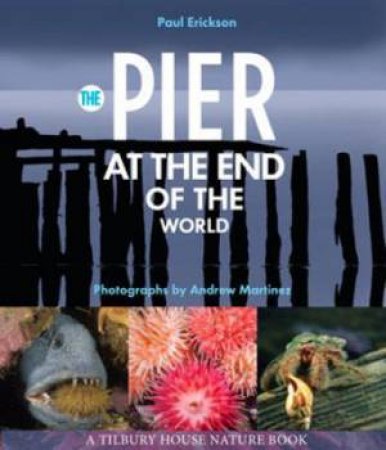 The Pier At The End Of The World by Paul Erickson & Andrew Martinez