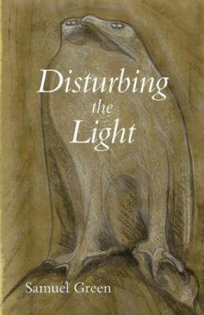 Disturbing The Light by Samuel Green