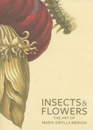 Insects & Flowers by David Brafman & Stephanie Schrader