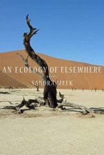 An Ecology Of Elsewhere Poems
