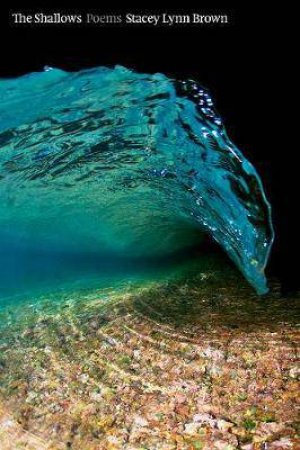 The Shallows by Stacey Lynn Brown