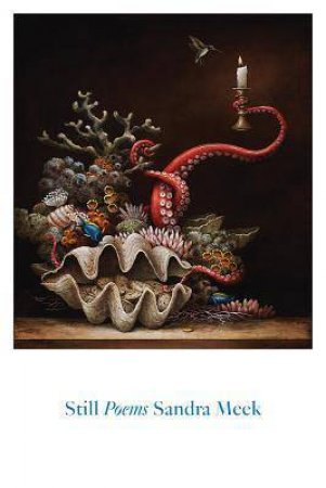 Still by Sandra Meek