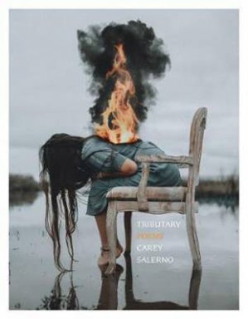 Tributary by Carey Salerno