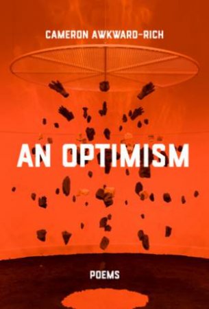 An Optimism by Cameron Awkward-Rich