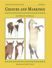 Colours and Markings Threshold Picture Guide 6