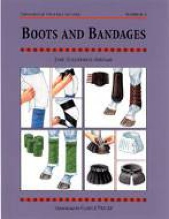 Boots and Bandages: Threshold Picture Guide 3 by HOLDERNESS-RODDAM JANE