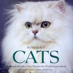 The Big Book Of Cats