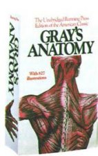 Grays Anatomy