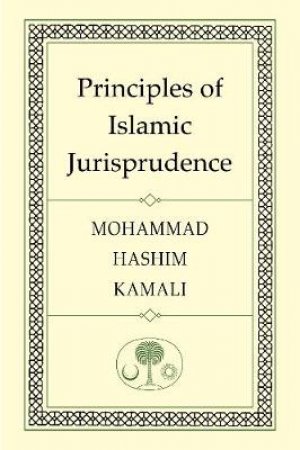 Principles of Islamic Jurisprudence by Mohammad Hashim Kamali